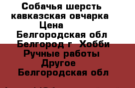 Собачья шерсть ( кавказская овчарка) › Цена ­ 150 - Белгородская обл., Белгород г. Хобби. Ручные работы » Другое   . Белгородская обл.